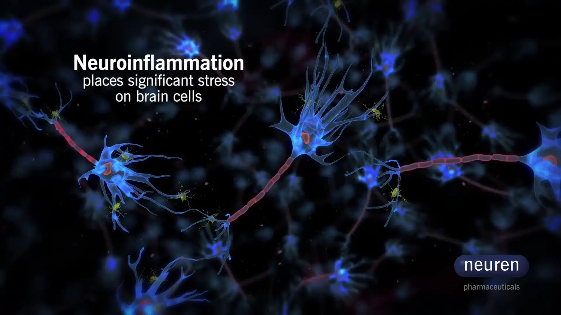 Neuren Pharma Neural Network